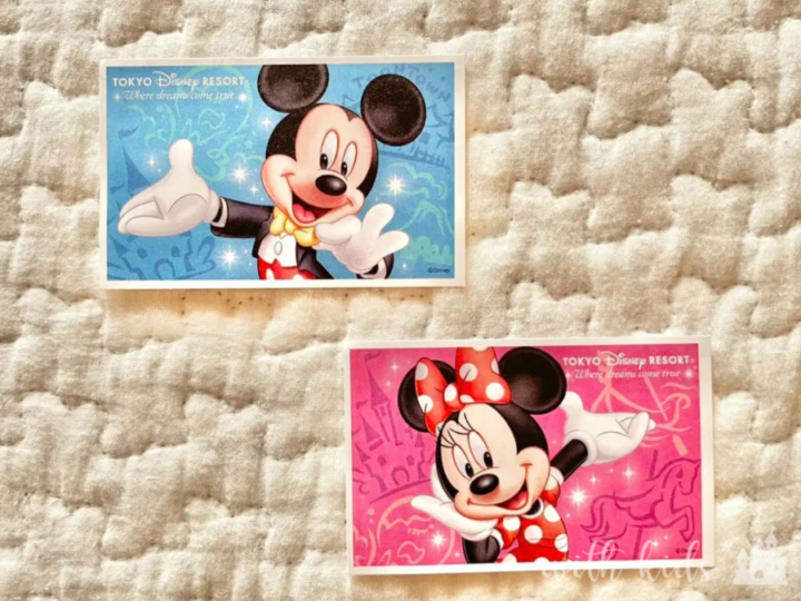 ディズニーの紙のパークチケット